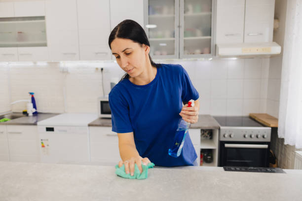 istock Your favorite housekeeper 2083068670