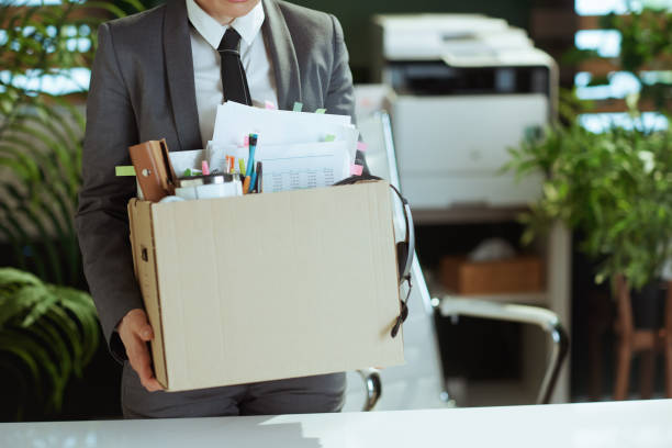 Closeup on modern female employee in modern green office New job. Closeup on modern female employee in modern green office in grey business suit with personal belongings in cardboard box. unemployment stock pictures, royalty-free photos & images