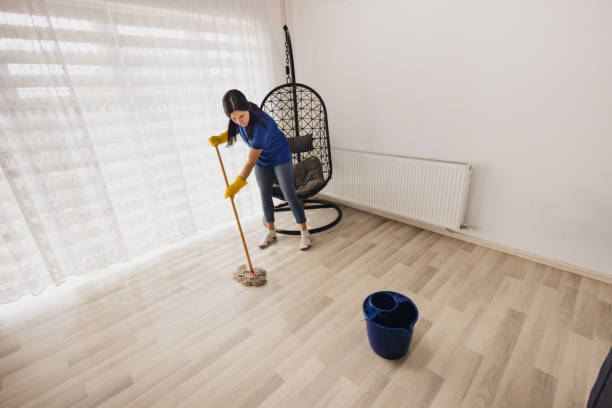 istock Using a mop and special cleaner for wooden floor 2083080915