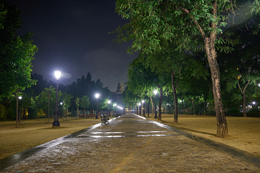 Latino man running at night in the park. City of Curitiba, Paraná, Brazil.