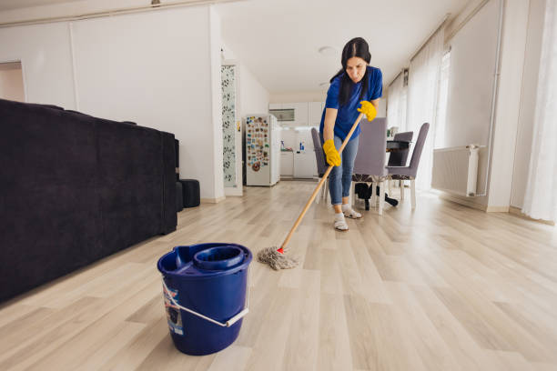 istock Using a mop and special cleaner for wooden floor 2083084631