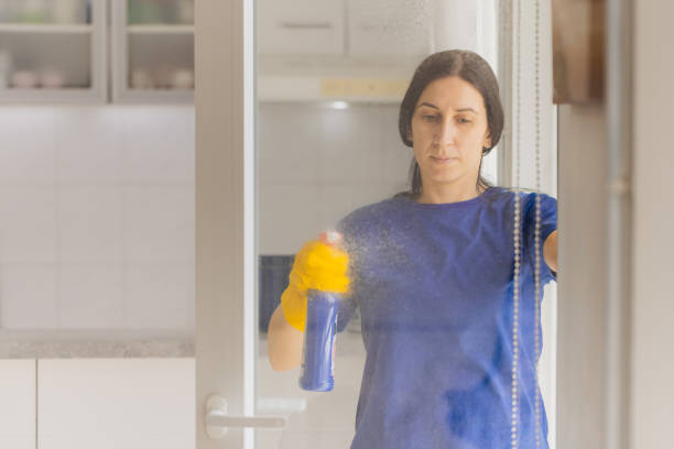 istock Using glass cleaning products to clean the windows 2083103088