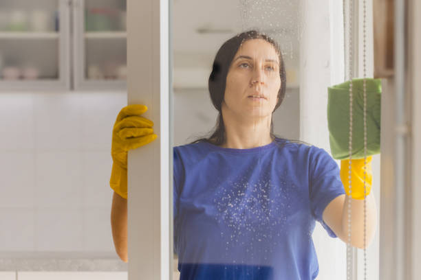 istock With a sponge and towel I can clean your windows wonderfully 2083108934