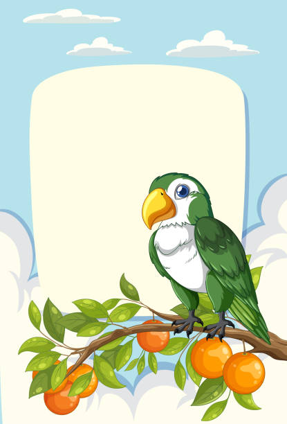 colorful parrot perched on a branch with oranges. - parrot multi colored bird perching stock illustrations