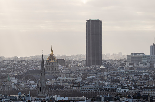 Skyline of Paris from above with high details.