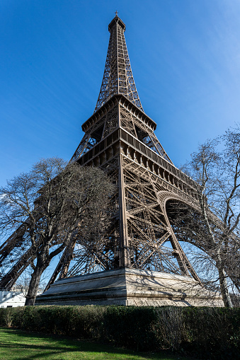 Looking up at the Eiffel Tower from below trees