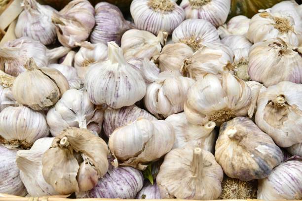 istock Pile of garlic 2083146923