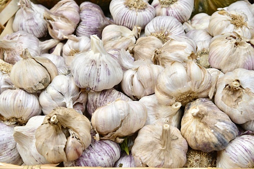 Pile of garlic