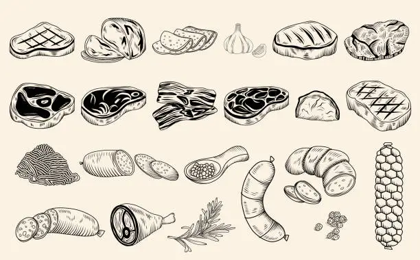Vector illustration of Set of hand drawn meat products sketch illustration (Steak, beef, lamb, pork steak, ham, minced meat, sausage, spices, jamon, lard), vector food collection, butchery food meat product clipart