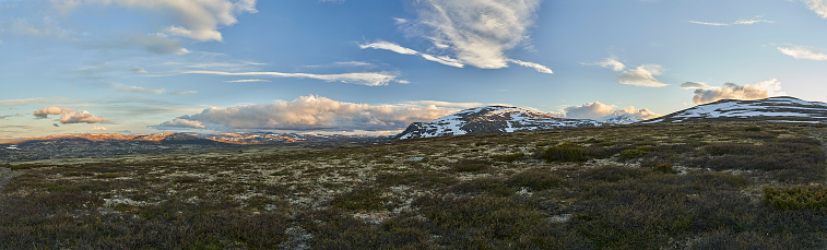 Panorama of the landscape of the cold harsh tundra in Dovrefjell national park in the highlands of central Norway