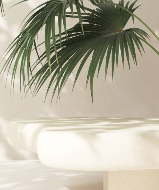 istock Modern, cute blank cream stone Japandi design table podium, green palm tree in sunlight 2083182606