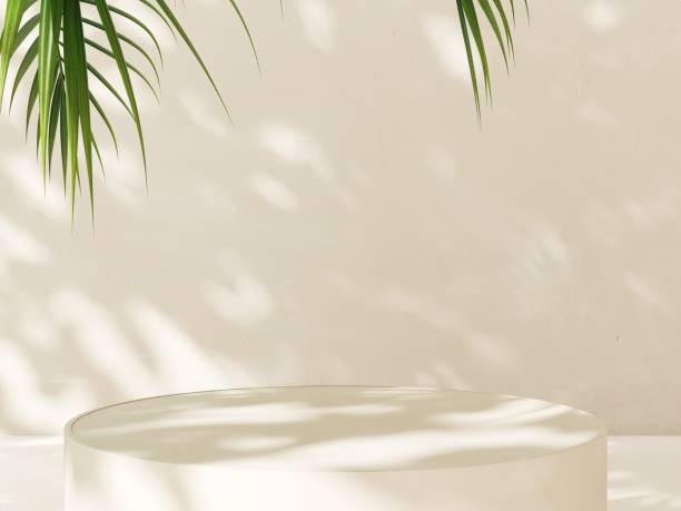 istock Minimal round beige cream podium table, green palm tree in sunlight, leaf foliage shadow 2083183110