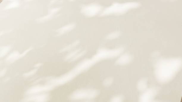 istock Sunlight cast dappled light and leaf foliage shadow on blank white concrete wall 2083183648