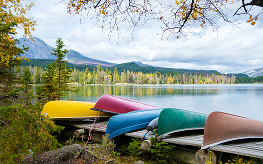 Beauvert lake at Jasper with autumn trees, Canada, a Canadian lake popular for the canoe in Canada. colorful canoe in front of the lake