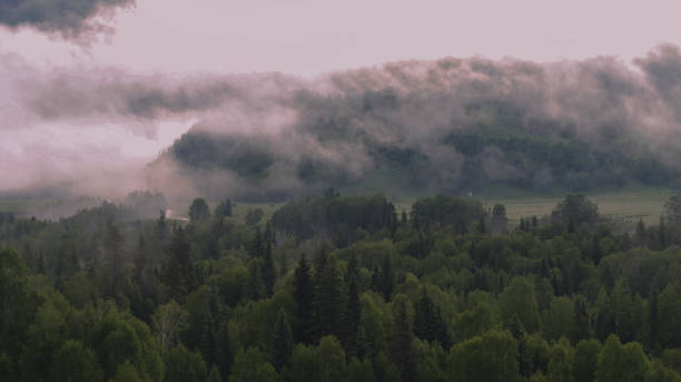 istock Misty foggy mountain landscape. 2083216720