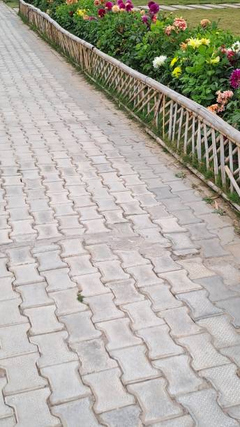 istock Path in Baansera Bamboo Park Park in New Delhi, India 2083219445