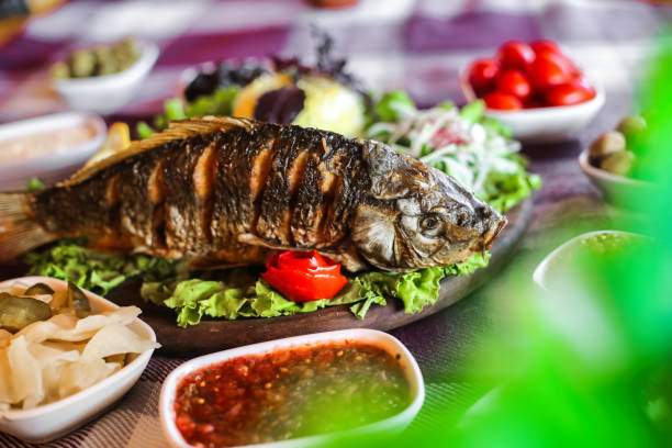 istock Delectable Plate of Food With Freshly Cooked Fish 2083220505