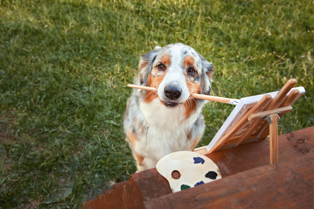 istock The dog is an artist 2083270195
