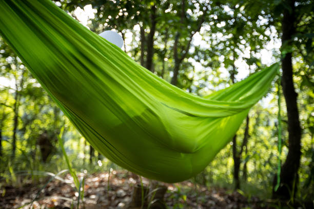 Woman relaxing in hammock haning on forest trees