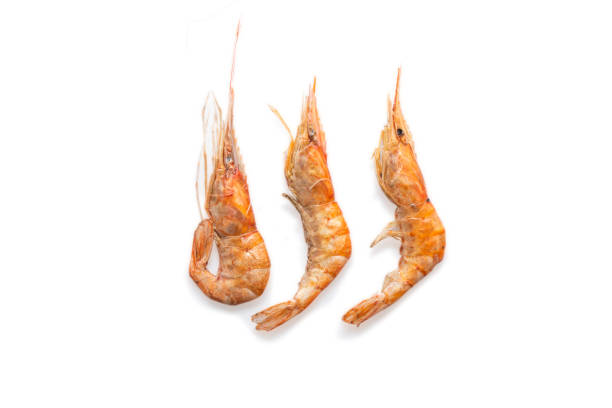 istock Dried shrimp object, dried shrimp isolated on white background 2083275299