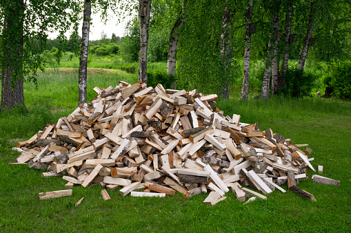 A large pile of firewood on the meadow. Trees, timber has been cut and split into firewood to be used as fuel for heating in fireplaces and furnaces.