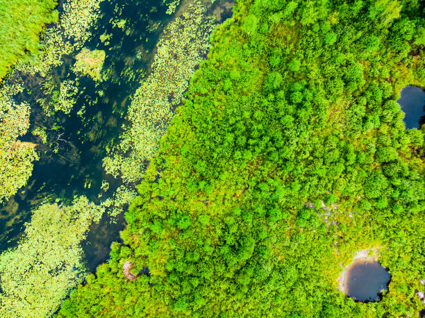 istock Krutynia river Masuria, Poland. Aerial view 2083295555