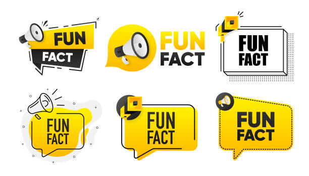 Fun Fact. Megaphone label collection with text. Marketing and promotion. Vector Illustration. Fun Fact. Megaphone label collection with text. Marketing and promotion. Vector Illustration fact bubble stock illustrations