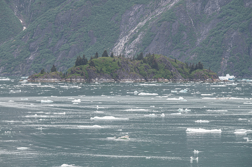 Gowlers (small icebergs) floating in the sea in front of  South Sawyer Glacier, Tracy Arm Inlet, Alaska, USA
