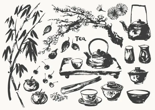 Vector illustration of Hand drawn ink sketch of teapot, cups, bamboo, plum blossom, tray, leaves, scoop traditional japanese sumi-e style.