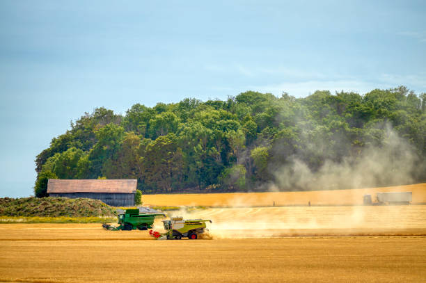 istock combine harvester in a field 2083332213