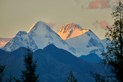 Belukha Mountain is the highest peak of the Altai Mountains. View of snow-capped peaks in the sunset light.  Katon-Karagay National Park. Kazakhstan.
