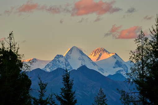 Belukha Mountain is the highest peak of the Altai Mountains. View of snow-capped peaks in the sunset light.  Katon-Karagay National Park. Kazakhstan.