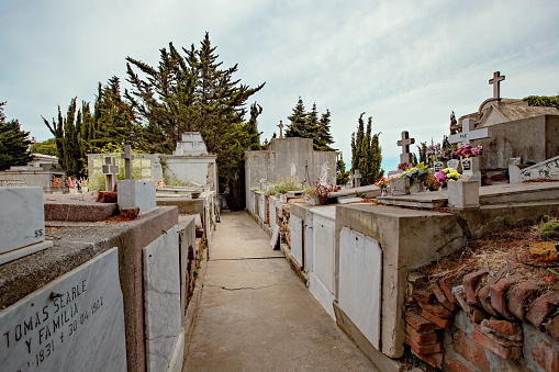 Photo of a blank tombstone in a graveyard.  Add you own text!