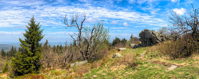 Panoramic view of the summit plateau of the Großer Feldberg in the Taunus with the landmark \