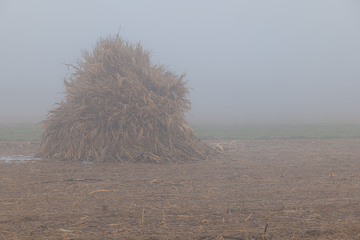 Stacked hay bales with morning mist around them.
