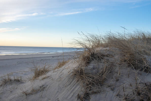 Sand Dune at Dawn at Nauset Beach