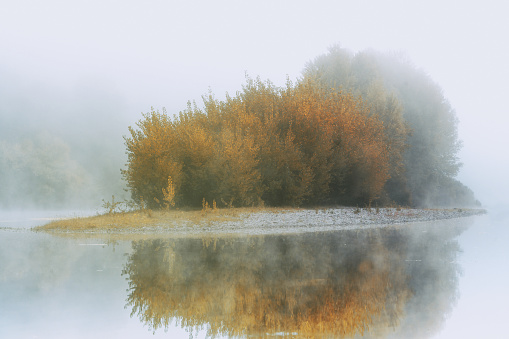 Islet in the middle of a river with trees in the autumn mist with beautiful warm colors, the mist surrounds the vegetation and merges with a milky sky. Bac-de-sors, Alles-sur-Dordogne