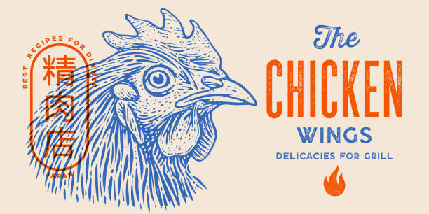 Chicken, hen head. Vintage retro print Chicken, hen head. Vintage retro print, chicken sketch ink pencil style drawing, engrave old school. Sketch artwork silhouette head chicken, white background. Side view profile. Vector Illustration chicken restaurant logo stock illustrations