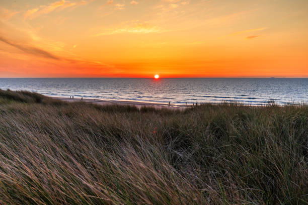 istock Beautiful sunset at the beach with dunes and gras 2083471869