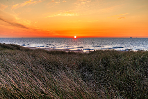 Beautiful sunset at the beach with dunes and gras