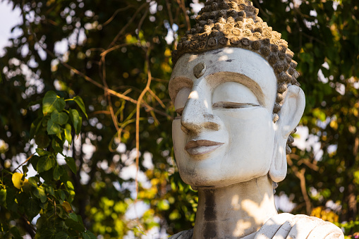 Close-up of the face of a traditional Buddha statue against green foliage background with copy space