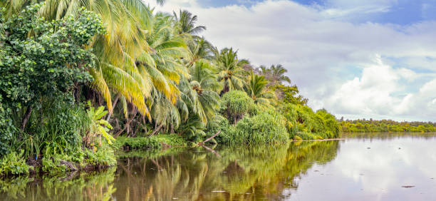 istock Tranquil Reflections: Fuvahmulah UNESCO Biosphere Reserve 2083492905