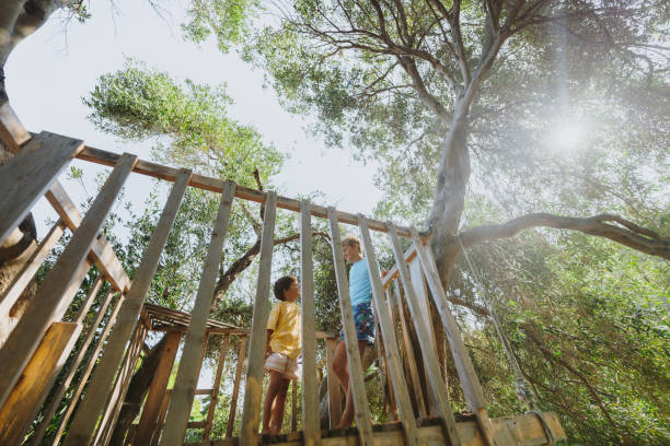 Photo of two young boy, proud tree house owner, playing together on their property