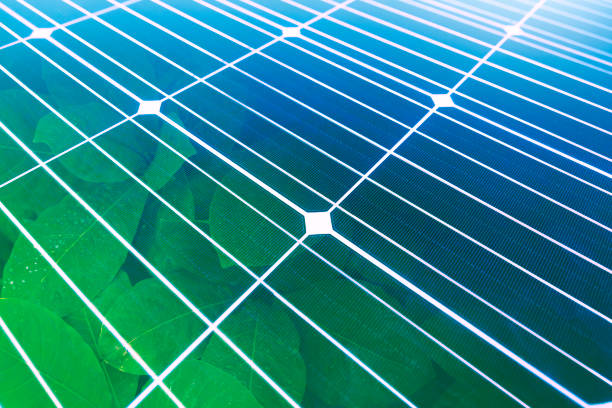 Foliage from a pristine forest overlaid on blue solar panels. green technology for Renewable energy is clean and good environmentally.