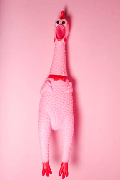 istock a screaming toy chicken on a pink background 2083549448
