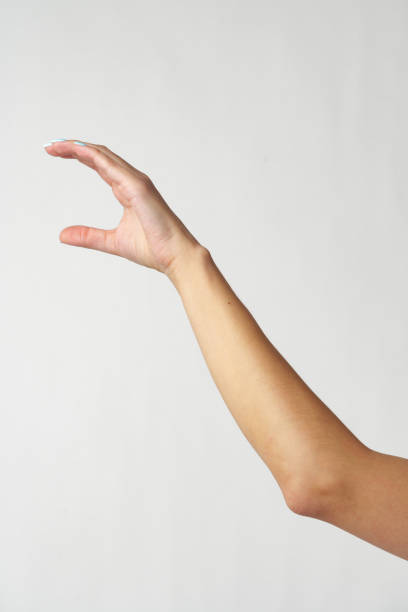 istock Female hand on white background close up 2083550569