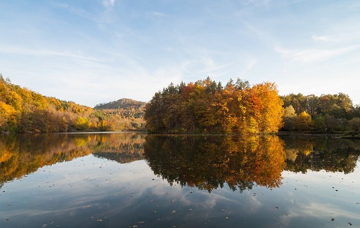 Idyllic autumn scene: Dry autumn leaves floating on a water surface of the lake. Trees are reflecting in the water.