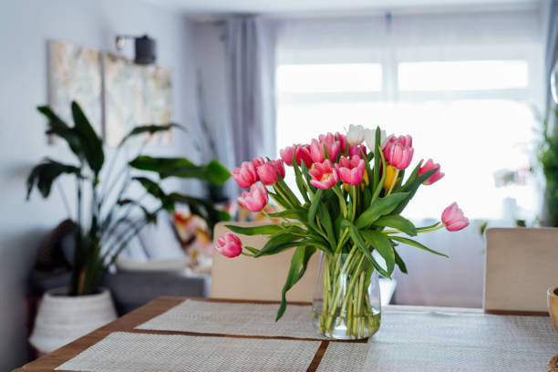 istock Kitchen counter table with focus on vase with huge multicolor tulips bouquet with blurred background of modern cozy living room with couch and green plants. Open space home interior design. 2083559260