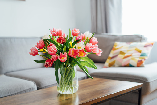 Vase of fresh tulips on the coffee table with blurred background of modern cozy light living room with gray couch sofa and graphic cushions. Open space home interior design. Copy space.