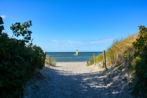 Footpath through sand dunes overlooking the sea with a colorful sailing ship